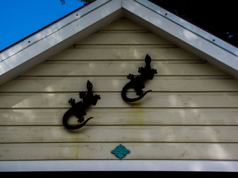 Shiplap Siding Repair detail
