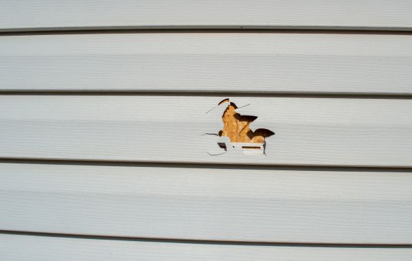 Cost of Siding Hole Patching in Boise